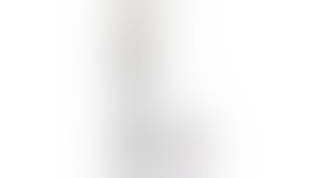 Sunthai 5LB bho closed loop extractor