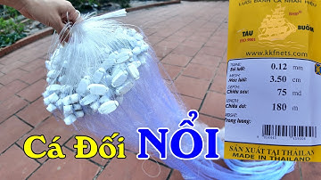 Lưới Đánh Cá Đối  | Cao 1m5 x 90m x 3,5cm giá #650k  || luoi danh ca a trung