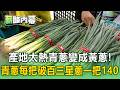 產地太熱「青蔥變成黃蔥」! 青蔥每把破百「三星蔥一把140元」【薪酸內幕】