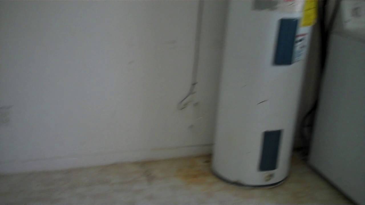 Pretty 3 Bed Foreclosure Rental Special in Tarpon Springs FL