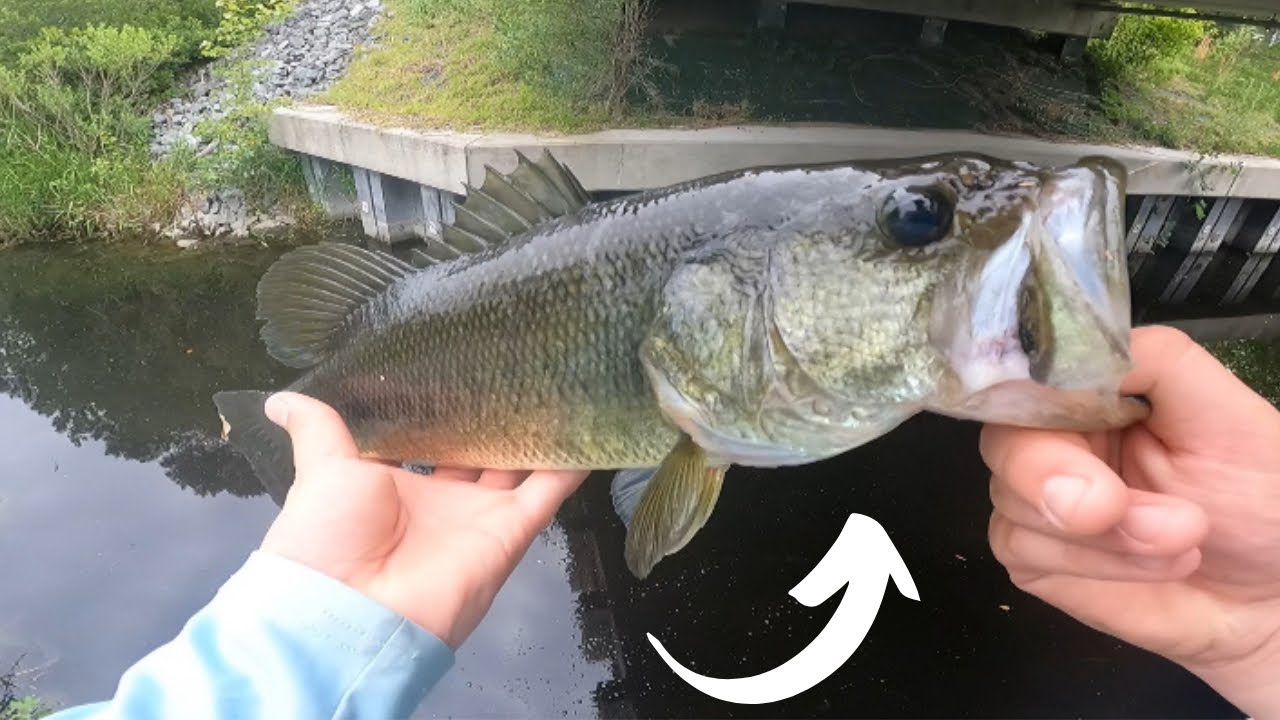 Fishing lake canals for mondo bass! #fishing #gopro