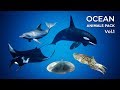 UE4 Ocean Animals Pack - Vol 1