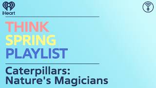 Think Spring Playlist