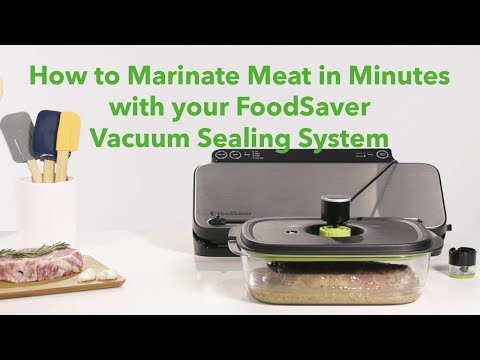 Wallis Companies - FoodSaver Vacuum Seal Quick Marinator