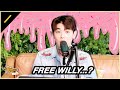 BLACKPINK S Ice Cream Is Actually About Free Willy I KPDB Ep 75 Highlight