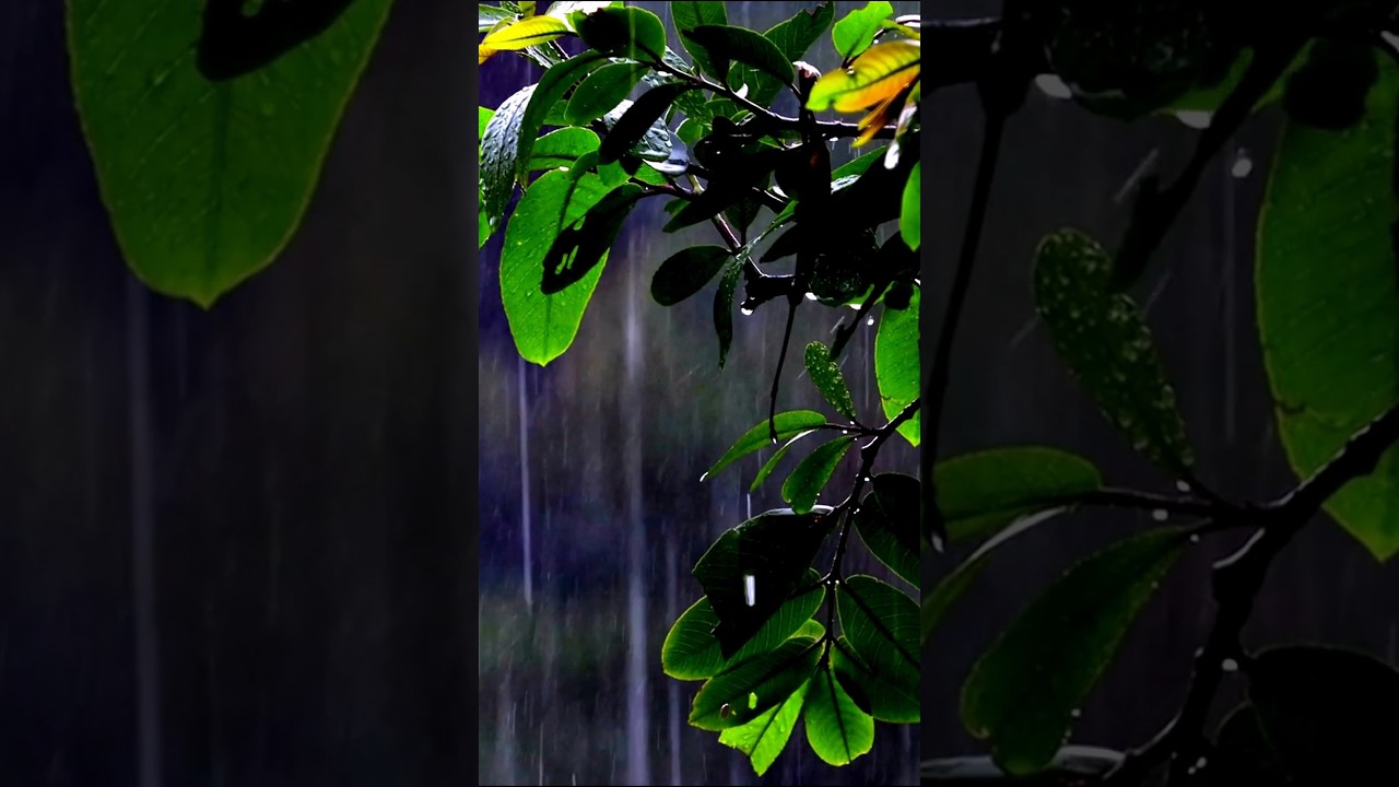 Some mysterious things about Amazon forest 🥶😰