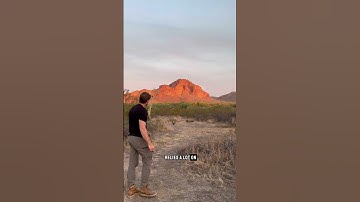 To Sling is to Throw