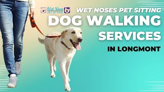 Dog Walking Services in Longmont CO | (970) 980-1325 by Wet Noses Pet Sitting 22 views 4 months ago 2 minutes, 9 seconds