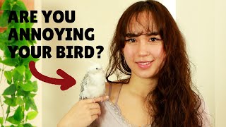 10 Things You’re Doing That Your Bird Hates