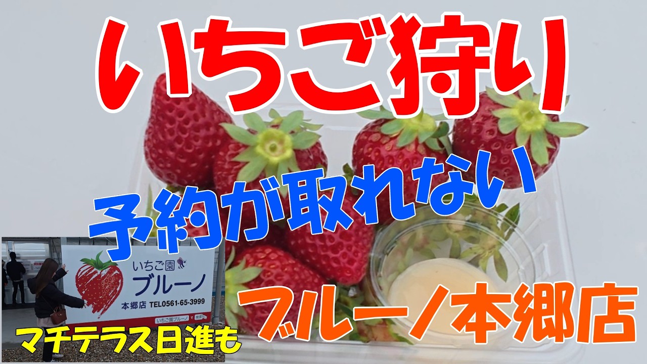 KOKOといちご狩りへ　ブルーノ本郷店