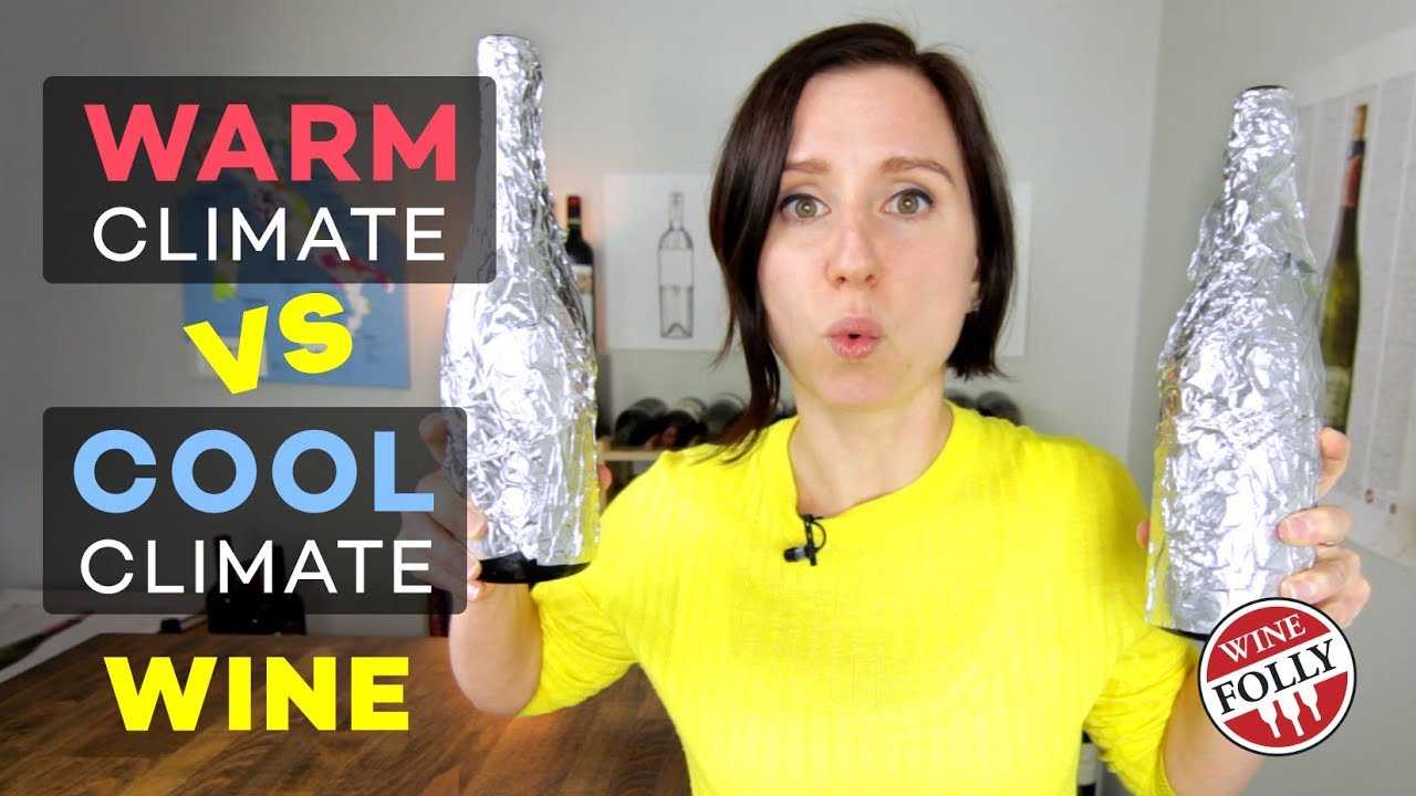 Secret Wine Tasting - Blind! - youtube