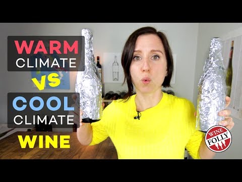 Video Secret Wine Tasting - Blind! - youtube