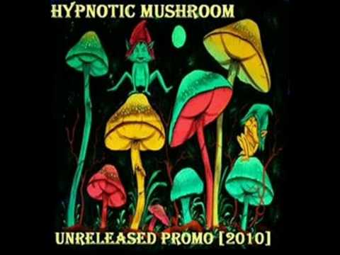 Hypnotic Mushroom - Horror