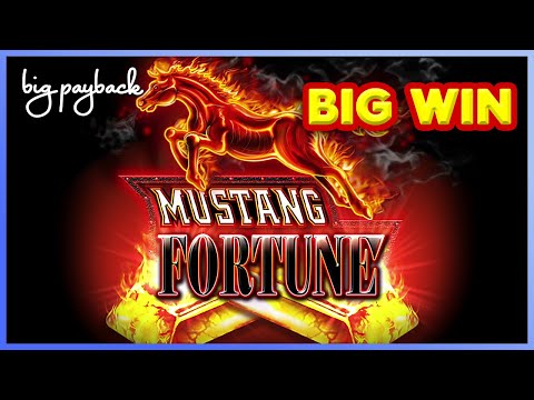TREMENDO PILAR DE BILLETES!!! MAQUINA TRAGAMONEDAS DE $10 #dinero #foryou #slotmachine #money
