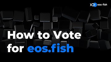 How to set up Scatter and vote for EOS Block Producers