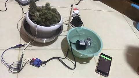 Alat Penyiraman Tanaman Cactus Otomatis Berbasis IOT Menggunakan NodeMCU
