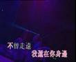andy lau chan mian