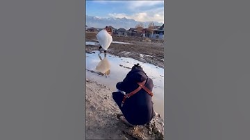 Fails I found on tiktok pt.17