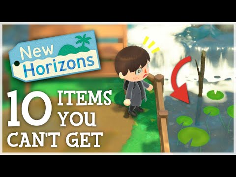 Animal Crossing New Horizons - 10 ITEMS You CAN'T Get (Ft. @Tiger)