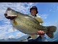 【琵琶湖】邪道リザードでデカバス連発~ 北湖ディープ攻略×プロトリザード~ 大仲正樹
