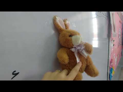 اجزاء الحيوانات 