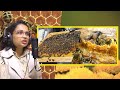 How Propolis is collected from Bee Hives | Dr. Sushma Giri | Sushant Pradhan Podcast