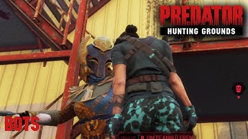 Predator Hunting Grounds - Gameplay 2.0 - Cleopatra Predator - Single Player hunt『PC』