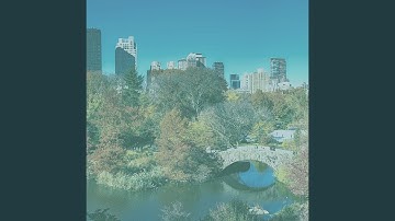 Spectacular Backdrops for First Dates