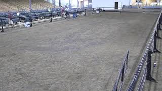 Topeka Livestock Auction Live Stream