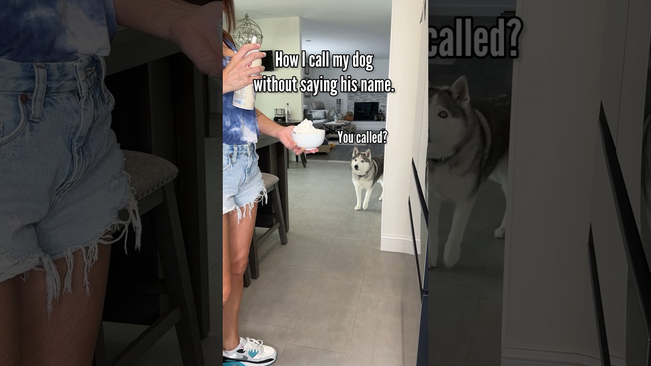 He doesn’t come when I call his name anyway 😂 