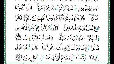 الصفحة رقم ( 10) من ختمة مصحف التجويد برواية الدوري