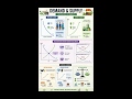 Demand & Supply Curve for SSC CGL ECONOMY