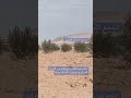 اغنية عبدالقادر ياابوعلم ـ لشابة نورية الجزائرية اشترك بالقناة اعمل اعجاب انشر المحتوى