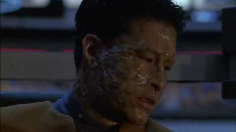 Star Trek: Voyager - Our situation