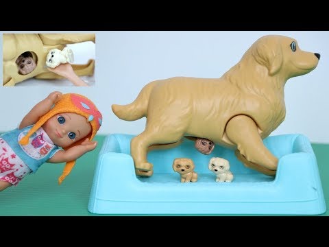 Perrita de Barbie tiene sus Cachorros en Casa de Anna Frozen y Gabriel!!! TotoyKids