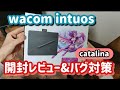 【Wacom Intuos】2020年おすすめペンタブのレビューと不具合対応【MacBookにおける認識バグの対策】