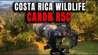 Canon R5C  Into the Rainforest of Costa Rica  Wildlife Video Showreel