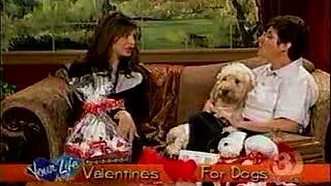 Top Dog Eileen Proctor: Pet Care Tips
