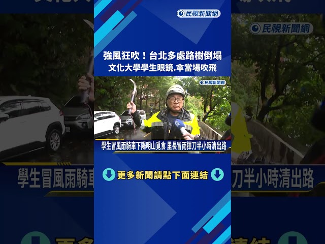 強風狂吹!台北多處路樹倒塌 文化大學學生眼鏡.傘當場吹飛－民視新聞