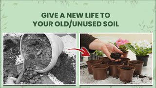 How To Revive The Old Potting Soil 5 Simple Steps To Reuse The Old Potting Soil.