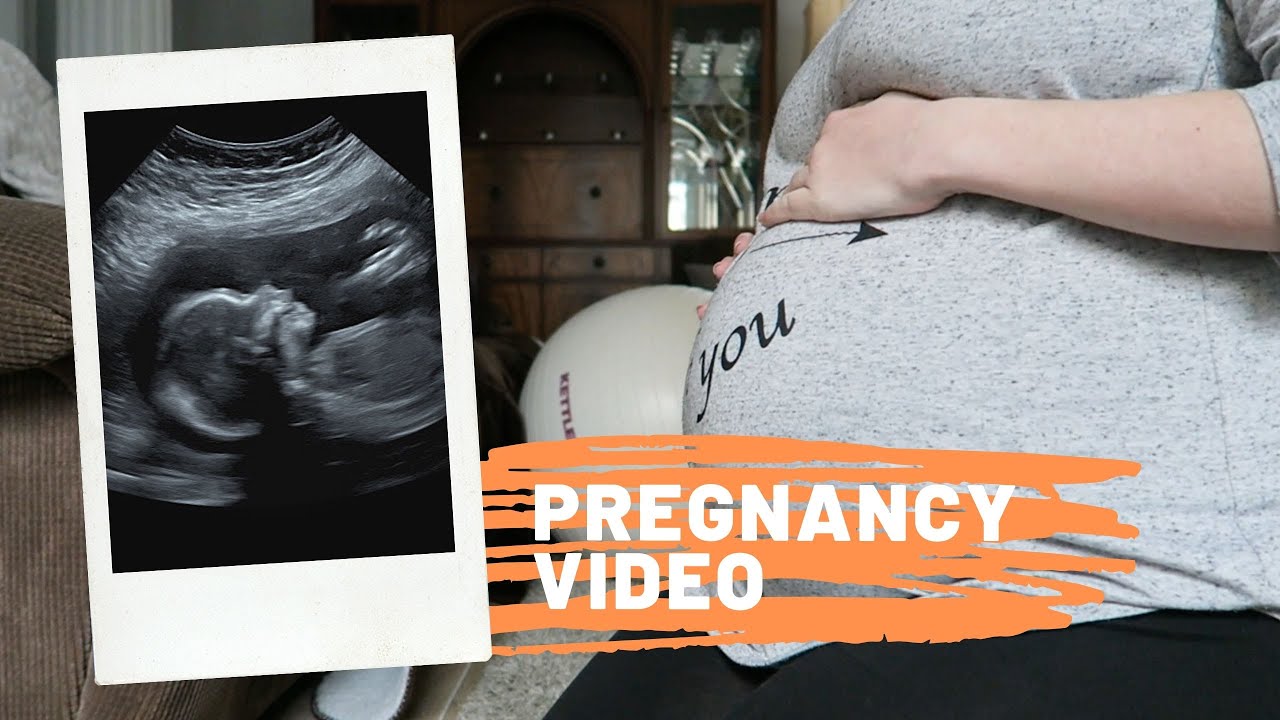 Pregnancy Video - YouTube