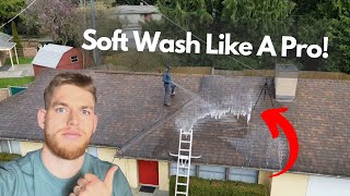 How To Clean A Roof From Top To Bottom FULL Tutorial screenshot 1