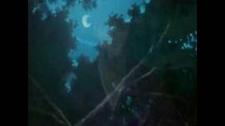 Crimson Memories Bleach