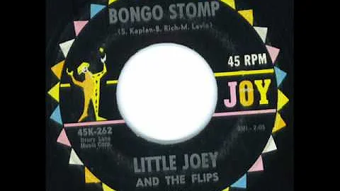 Bongo Stomp - Little Joey & Flips