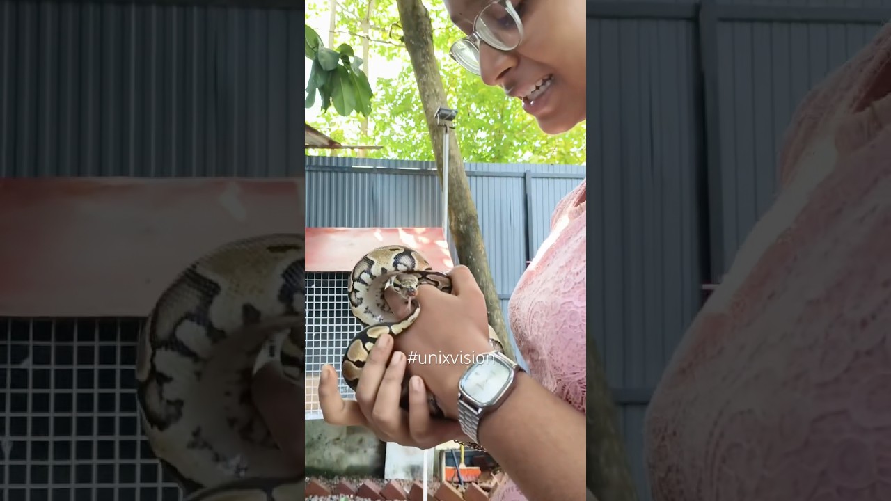 Girl with Perumpamp 🐍 | Shocking  &Stunning Moment | UnixVision