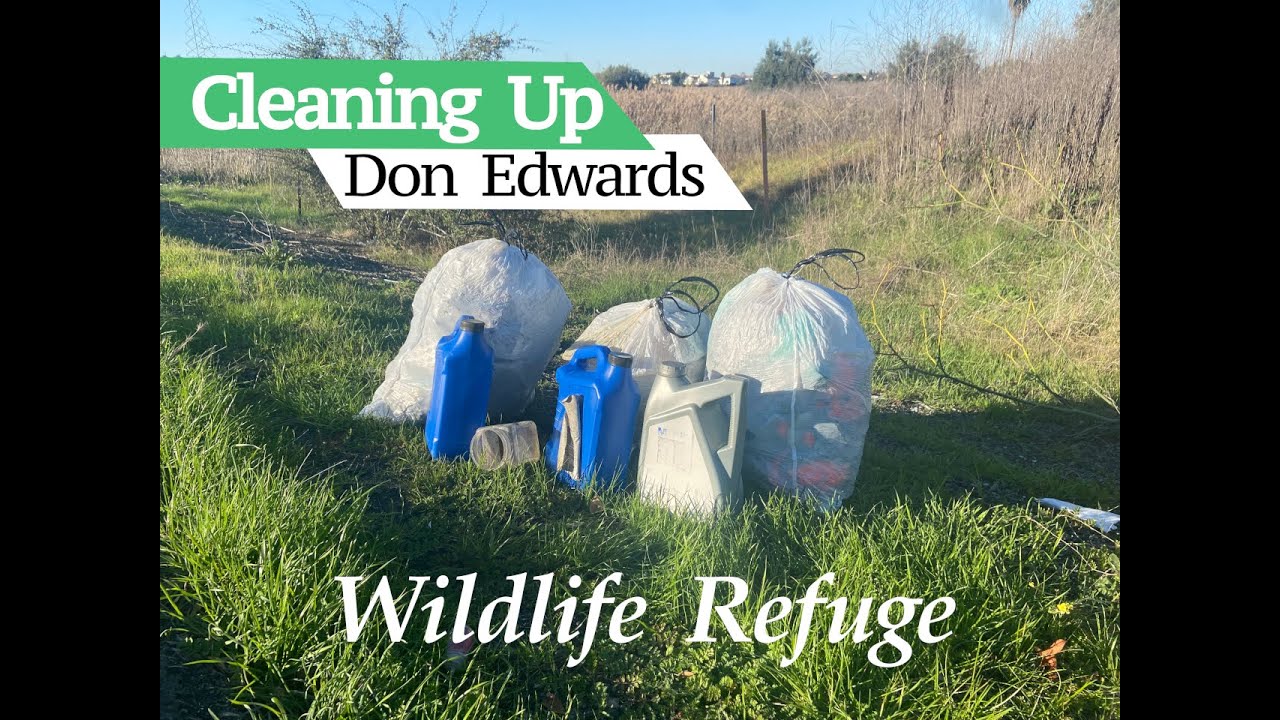 Cleaning Up Don Edwards Wildlife Refuge