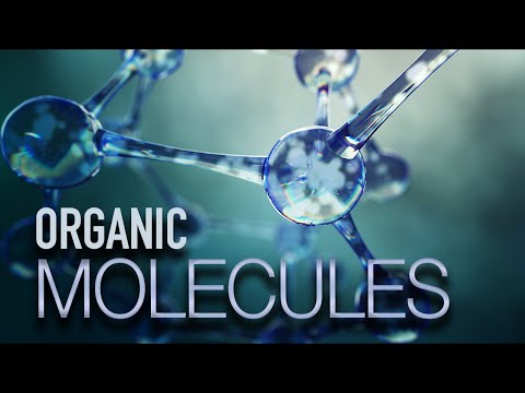 Video: Jaký typ organické molekuly se nejčastěji používá jako energie pro buňky?