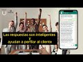 Primeros Pasos Whatsapp IA
