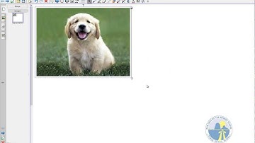 OLR How To Insert A Picture Into SmartNoteBook