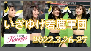 【新衣装】ハニーズ: いざゆけ若鷹軍団 2022.3.26-27